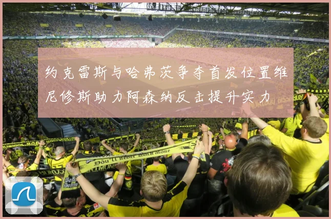 约克雷斯与哈弗茨争夺首发位置维尼修斯助力阿森纳反击提升实力