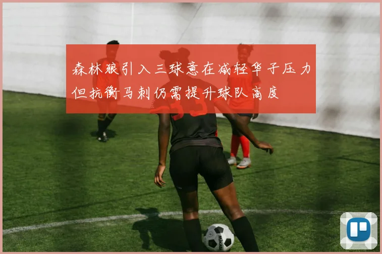 森林狼引入三球意在减轻华子压力但抗衡马刺仍需提升球队高度