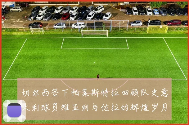 切尔西签下帕莱斯特拉回顾队史意大利球员维亚利与佐拉的辉煌岁月