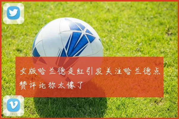 女版哈兰德走红引发关注哈兰德点赞评论称太像了